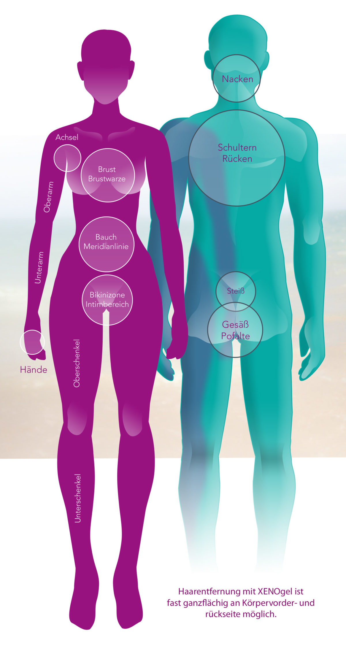 Grafik Körperregionen Frau und Mann