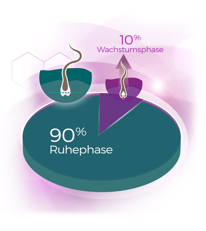 Wachstumsphasen Diagramm