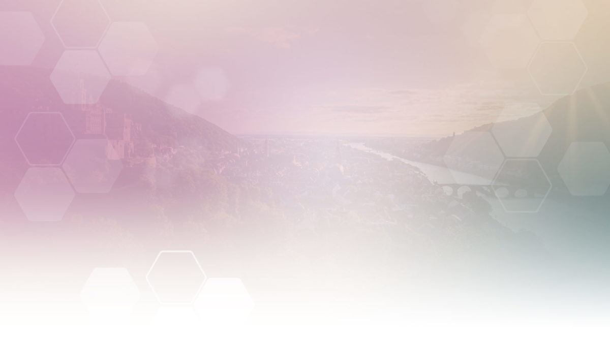 Hintergrund dezent Heidelberg Panorama