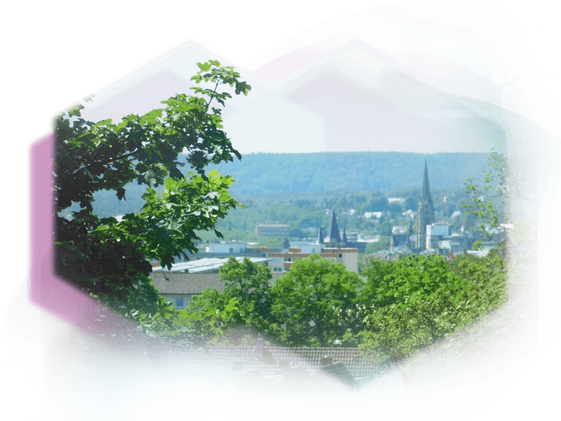 Wabenbild Blick auf Kaiserslautern