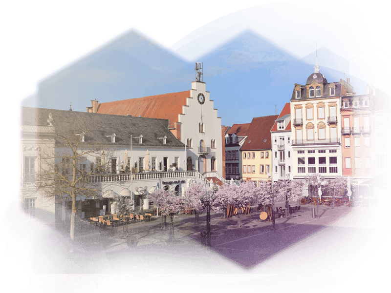Standortfoto Landau Institut
