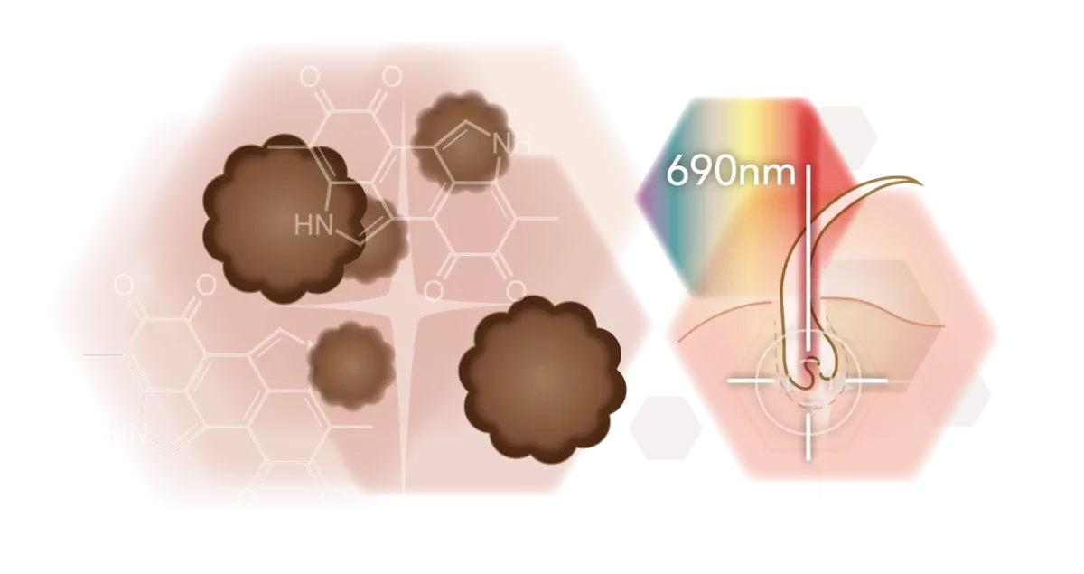 Infografik Wellenlänge SHR und Melanin